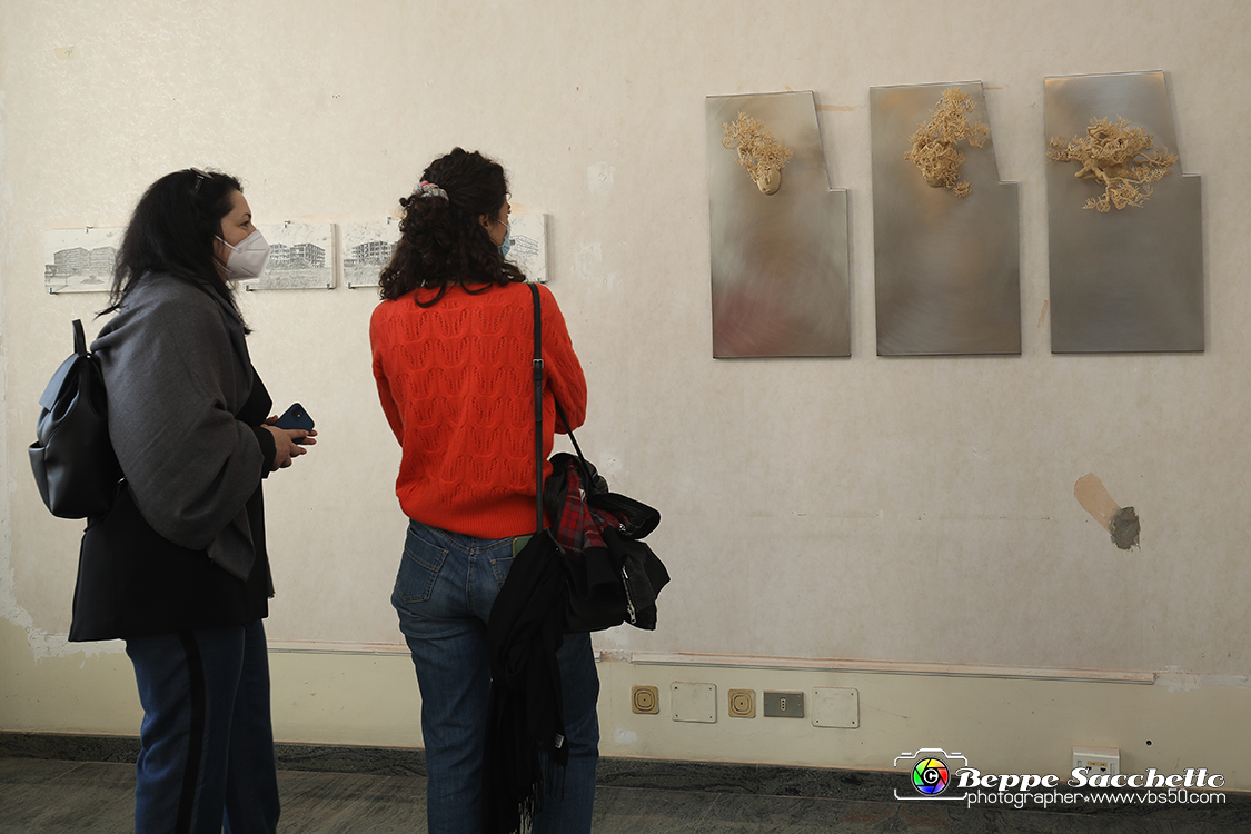 VBS_4085 - Paratissima 2021 - 17.ma Edizione.jpg